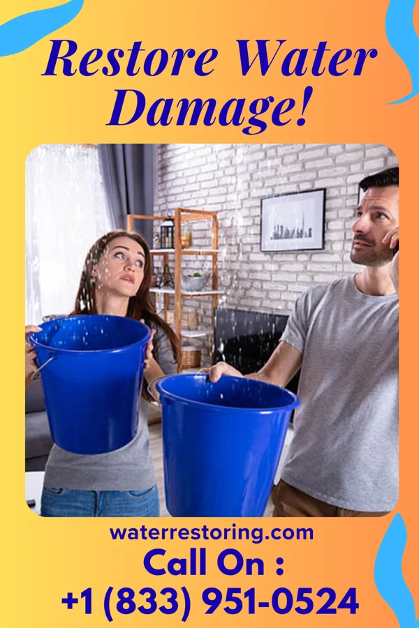 water restoration Diamond Water Removal Force Tribbey