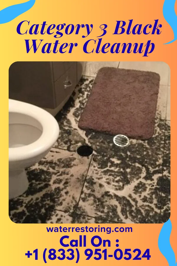 Category 3 Black Water Cleanup in Tribbey, OK