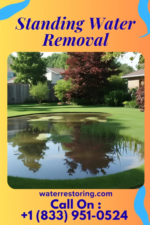 Standing Water Removal in Tribbey, OK